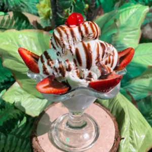 COPA DE HELADO